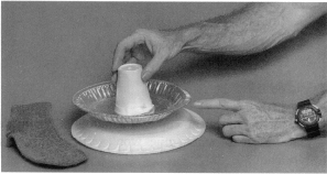 electroforo04.gif (36461 bytes)