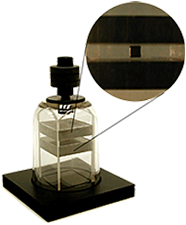 Experimentos Caseros